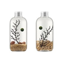 세남자바스켓 오션 보틀 마리모 키우기 DIY세트, 제주 1개 + 몰디브 1개