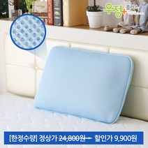 [한정수량]우정플러스 쿨매트, 1.[한정수량] 우정플러스 3D 매쉬 베게 스카이