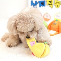 PET 패리스독 과즙팡팡 간식놀이 토이 L/애견 반려견 강아지 노즈워크 장난감 스트레스 해소 두뇌 발달 /펫
