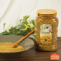 아침햇살농가 벌화분 비폴렌, 1kg, 1개