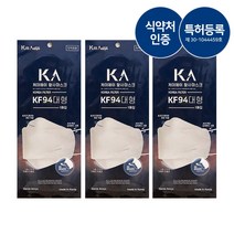 [닥터남] 안경 김서림 방지 시원한 성인용 마스크 10매, KF94덴탈마스크10매