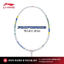 리닝 LI-NING 엑스포스 80 4U AXFORCE 배드민턴라켓 AYPS004-1, 테크니스트V66(고반발력/타구음), 25 파운드(여성 적정)