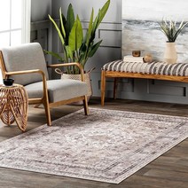NuLOOM Davi 변색 방지 얼룩 세탁기 세탁 가능한 액센트 러그 91.4 x 152.4cm3 USA 미국