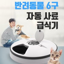 반려동물 6구 자동급식기 자동사료기계
