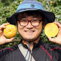 삿갓유통 고당도 태추단감 창녕 배단감, 1박스, 4kg