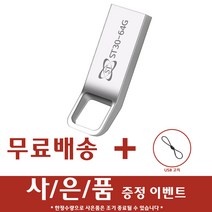 에스티원테크 ST30 메탈 USB메모리 실버, 64GB