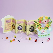 어린이 북아트 봄꽃 DIY 자연관찰책 2개 여름 종이책만들기
