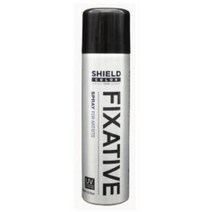 쉴드 픽사티브 150ml 스프레이 미술재료 미술수업