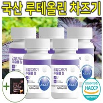 프리미엄 고농축 국내산 차즈기 차조기 차지기 차주기 차자기 붉은깻잎 보라색깻잎 루테올린 루테인 자소엽 자엽소 잎 차 티 캡슐 환 정 분말 가루 파우더 추출물 효능 효과 추천 5통