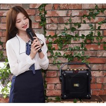 푸킨독 이동식 300W BT 노래방 앰프 스피커 버스킹 DJ
