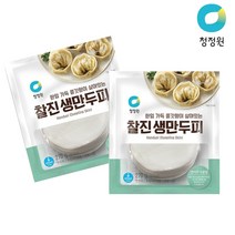 베스트식품 종가집 찰진생만두피 270g x9개, 9개