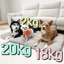 댕댕이가게 강아지 초대형 마약 방석 쿠션 대형견 무중력 켄넬 고양이 빈백 포토존 특대형, 브라운