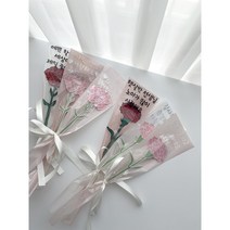 [라인 카네이션 토퍼] 꽃다발 포장 어버이날 용돈토퍼 카드 기념일 부모님 시부모님 선생님 스승의날 선물 가정의달 어린이집 행사, 활짝 핀 레드, 화이트, 홀로그램