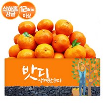 [gs특가]12Brix 당도보장 신품종 산하홍 귤 3kg(2S-M), 단품