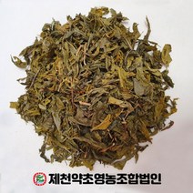 국산 녹차잎 500g 제천약초영농조합 제천약초시장, 1, 300