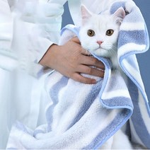 도토리ZIP 프리미엄펫타올 감각적 디자인에 실용성을 더한 초극세사 타올 1+1 SET, 프리미엄(블루 2P)
