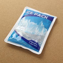간편 아이스팩 2개 휴대용보냉팩 휴대용쿨팩 얼음팩 아이스보냉팩 쿨팩 휴대용아이스팩