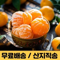 제주 감귤 제주도 귤 밀감 타이벡 노지감귤 조생 극조생 3kg 5kg 10kg 햇 프리미엄 고당도 감귤농장 산지직송 택배, 노지감귤 3kg, 로얄과 (2s-M)