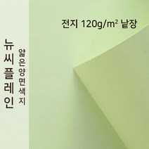 뉴씨플레인 종이문화 얇은 양면색지 120g 전지 낱장 1매 No.02 연비취, 1장