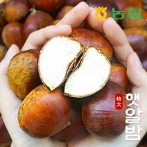 [농협] 토실토실 햇밤 순창 알밤 특대 2kg (제수용)
