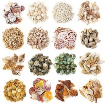 (디머스)스쿨아트 자연만들기재료 대용량 벌크 조개껍질(1kg), A~P 전체혼합 1KG