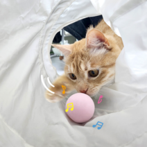 헬시냥이 고양이 소리나는 혼자놀기 장난감 양모볼 EVA 공 블루+핑크+옐로우 세트 3개입