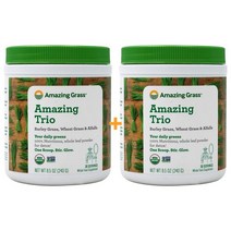 어메이징그래스 어메이징 트리오 새싹보리 밀싹 알팔파 30서빙 240g X2팩, 1개