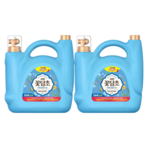 샤프란꽃담초연꽃 & 유칼립투스향섬유유연제 5.7L x 2, 옵션