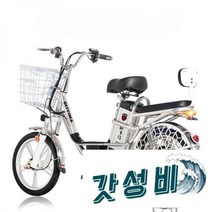 벨로 2인승 입문용 고성능