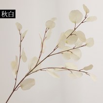 센픽 조화 버터플라이꽃 설유화 루모라고사리 양귀비 유칼립투스 미니 꽃다발 국화 23 동백꽃 자작나무가지, 가을 흰색