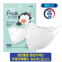 더숨 kf80 소형 어린이용 새부리형 쿨링감소재 귀통증없는 특수밴드 에버프레쉬 보건용마스크 1매입 개별포장, 1개입, 10매, 화이트