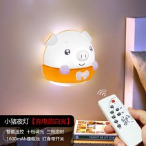 전기세레나이트 리모컨 침실침대 야광콘센트 에너지절약 아기 수유 스탠드 잠자기 무드등-16205, 단일옵션, 옵션10