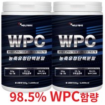 농축유청단백질(WPC)+전용스푼500g*2 대두레시틴 프로틴 파우더 가루 쉐이크, 2개