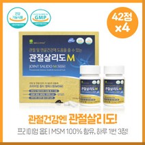 MSM 관절살리도42정x2병 2세트 옵티엠에스엠 초록입홍합 보스웰리아 상어연골 홍화씨분말 하루1회 3정 섭취, 본문참고, 본문참고