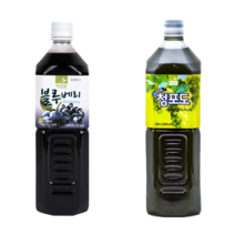 차그림 쥬스베이스 블루베리원액 1000ml, 1개