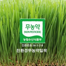 분당밀싹농장 밀싹300g 보리싹300g, 1개
