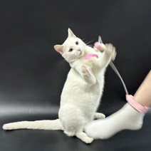 멍냥이노리터 고양이낚시대 고양이 낚시 카샤카샤 낙싯대 깃털 줄 꼬리 와이어 낚싯대 장난감 낚시대, 핑크