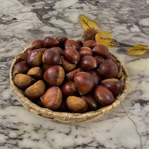 23년 햇밤 공주밤 공주알밤 공주맛밤, 공주햇밤 5KG(대/개당 16-24G), 1개
