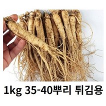 인삼 튀김용인삼 인삼 1kg 35-40뿌리 세척 금산인삼 5년근 6년근 못난이인삼 삼계탕인삼 인삼튀김용 인삼튀김, 1kg 35-40뿌리 세척(X)