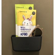 자석 현관 월포켓 마스크 수납함 차키 보관 강력 마그네틱 리모컨 정리함 다이소 꽂이, 3호, 민트