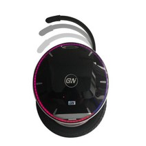 GotWay-신제품 외발 자전거 니콜라 17 인치 전기 외발 자전거 2000W 모터 1600wh 배터리, 01 1600w, 한개옵션1