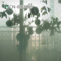 W073A00상회 씨엔보드_ 인테리어 창문용 100x200㎝ 그린 그라데이션 시트지 창문보호 사생활보호막 햇빛차단 거울