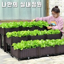 집안에서 화단꾸미기 베렌다 옥상 아파트 실내정원 실내텃밭 야채키우기