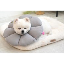 목 피부보호 수술 강아지 고양이 넥카라 깔대기 행동교정 긁음방지 눈안좋은 노령견, 1개, 그레이 M