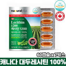 캐나다 레시틴 식물성 인지질 식약처인증 순수 대두레시틴 100% 혈중 콜레스테롤 개선, 7박스, 60캡슐