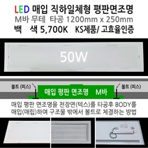 유니온엘이디 매입 평판등 면조명 50W 1285X316X49 LED평판조명, 고효율 매입면조명 M바 1285X316 50W 백색