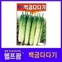 헬프팜 백금다다기 50립 종자 오이 씨앗 진흥종묘