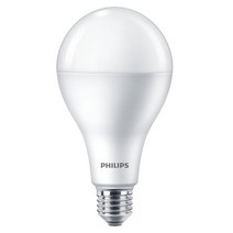 필립스 LED 전구 14W, 1개, 주광색