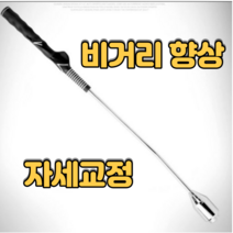 골린이 스윙 연습 비거리 골프 자세 교정, 골프스윙연습기