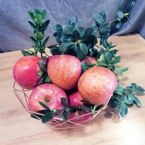 블랙애플 사과유명한곳 충주 안동 청송 꿀 부사 사과 2KG, 부사사과2kg